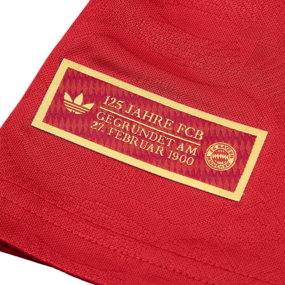 2024-25 FC Bayern München 125th Anniversary Special Edition Kit