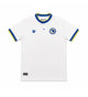 2026 World Cup Bosnia and Herzegovina Away Kit
