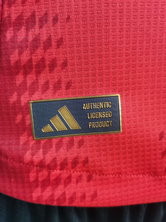 2024-25 Bayern München Home Kit