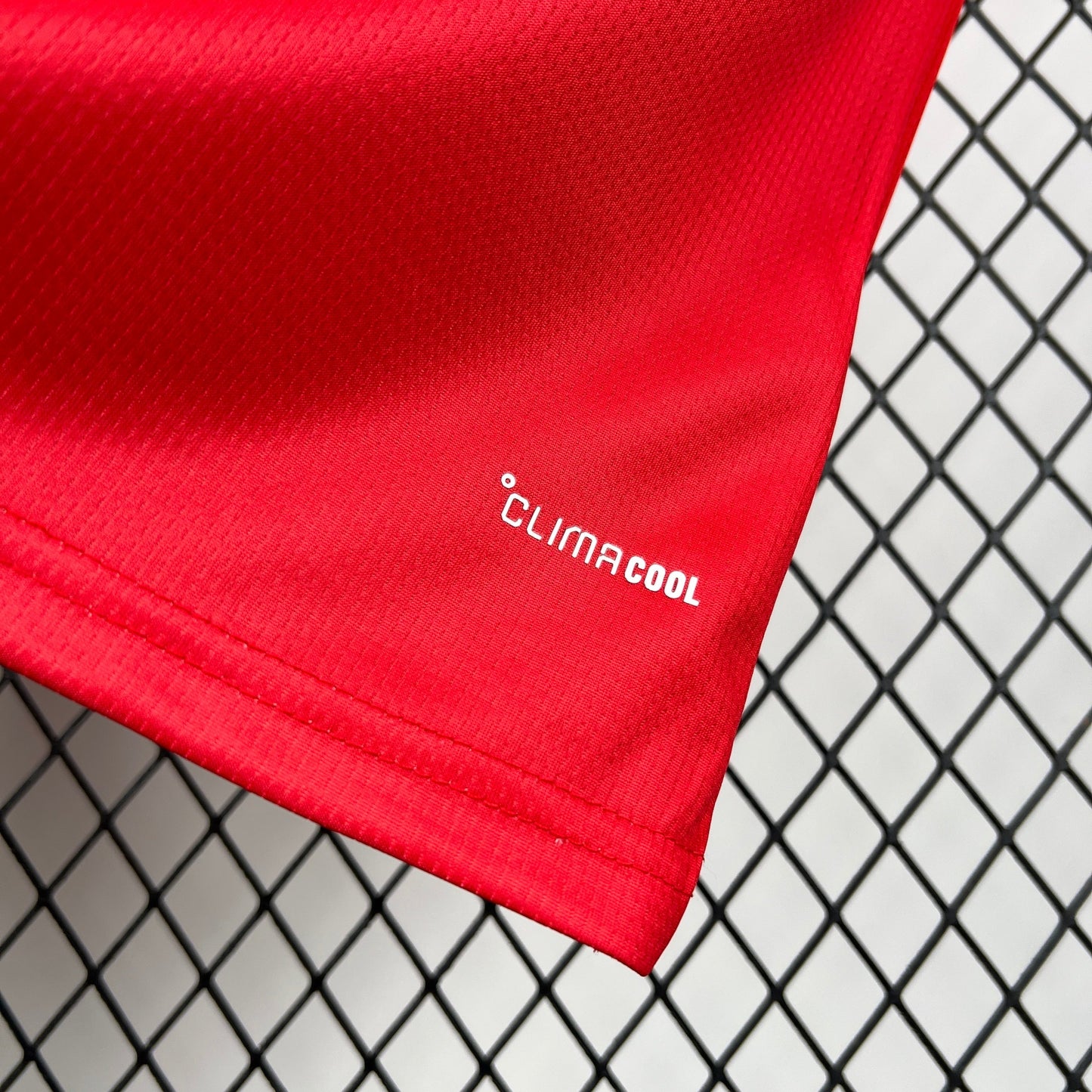 2026 Wales Home Kit