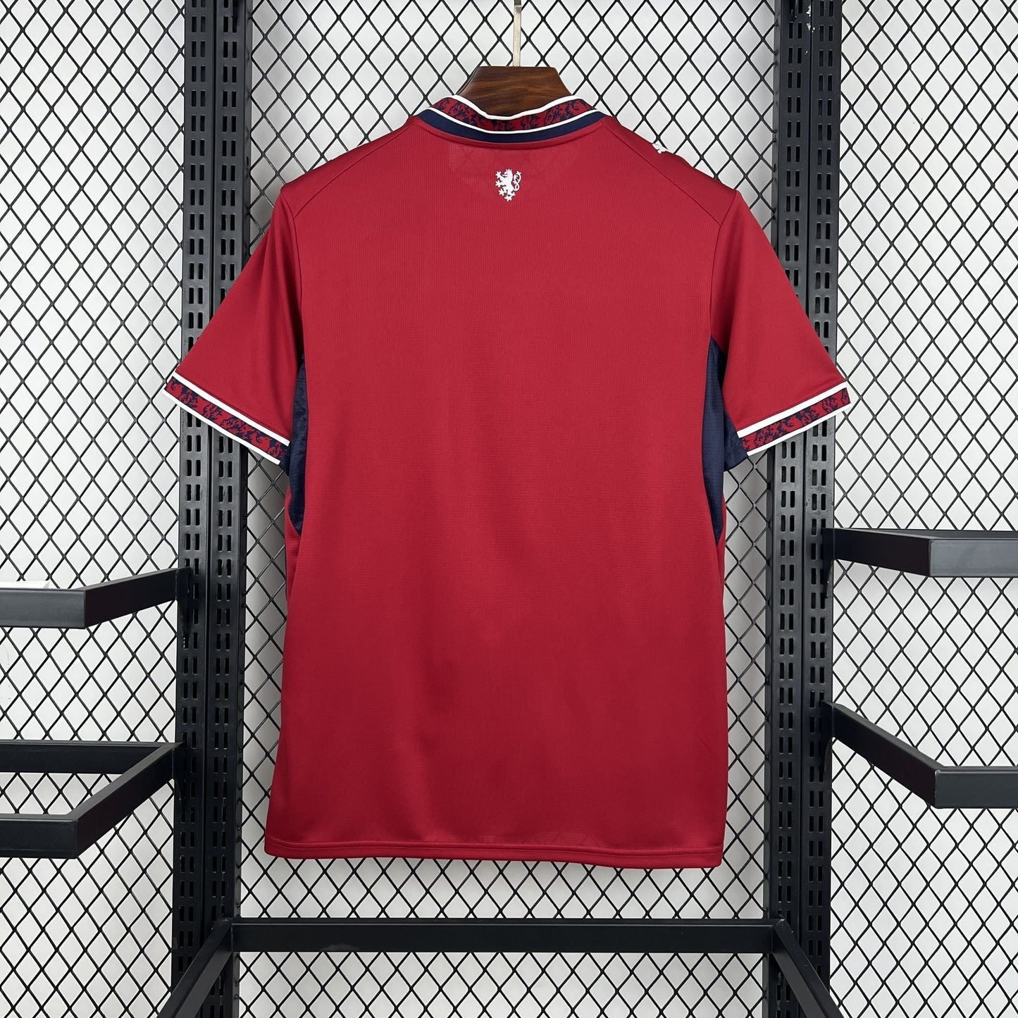 2026 Czech Republic Home Kit