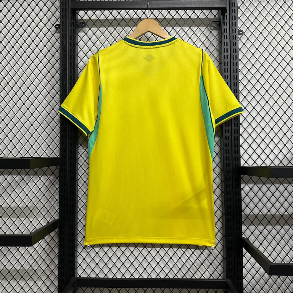 2026 Brazil Home Kit